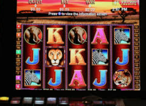 78m.ppt威久国际免费版2024最新版