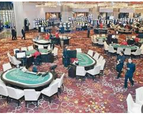 78m.ppt威久国际免费版2024最新版